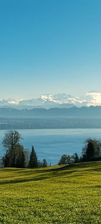 Bodensee Blick - Mobile