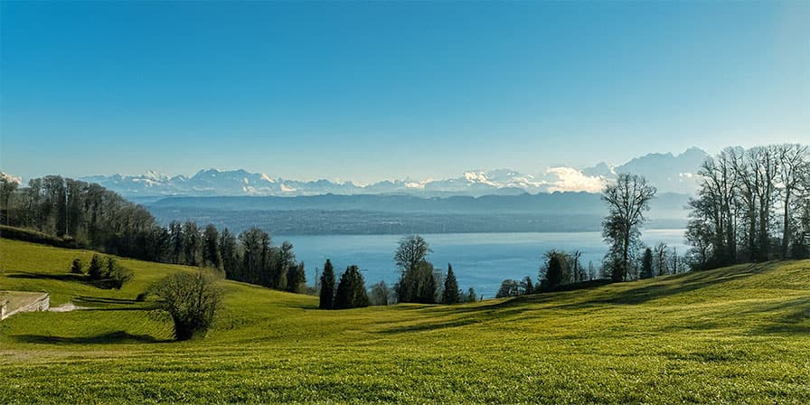 Bodensee Blick